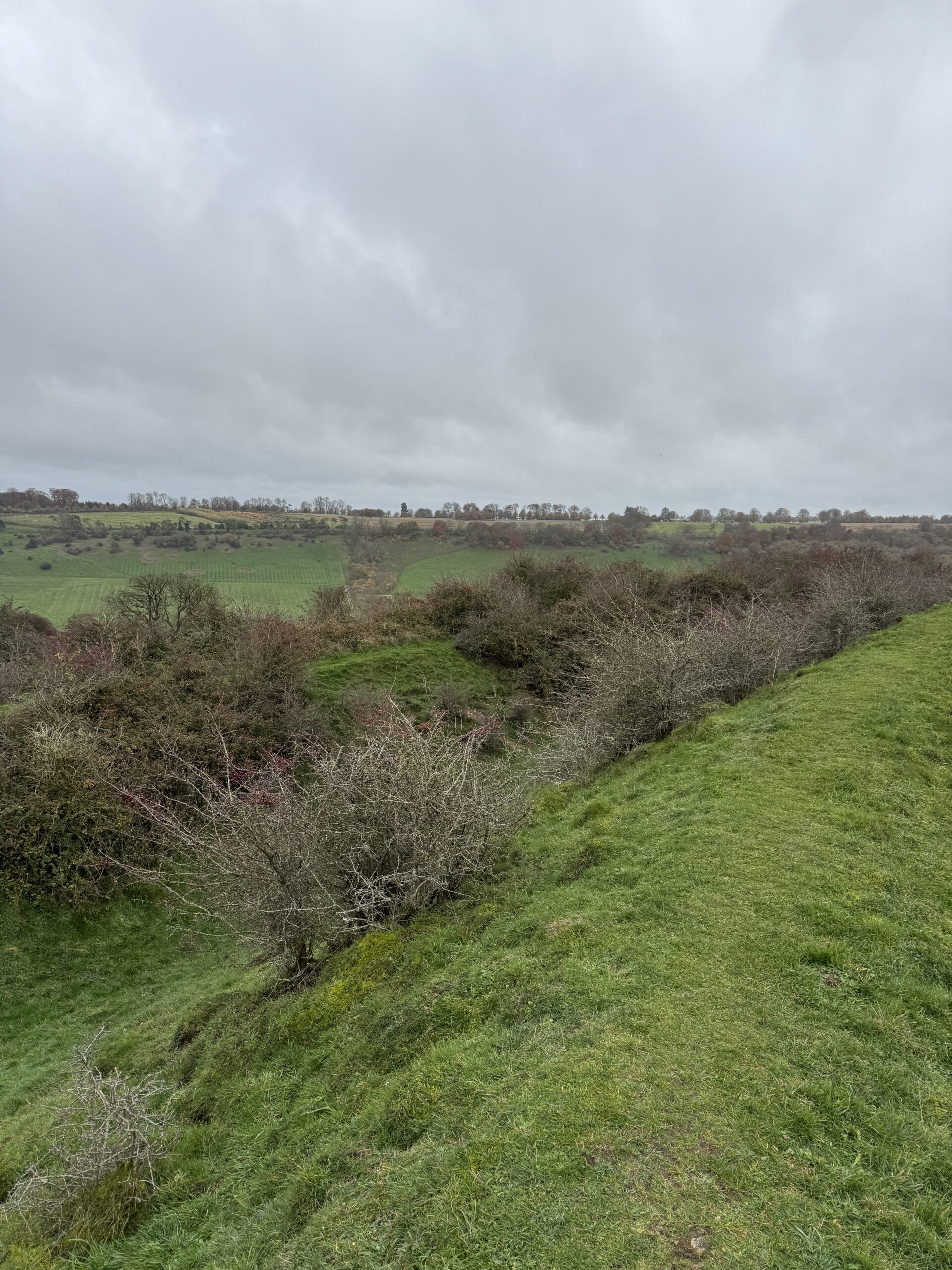 Fosbury Camp Hillfort