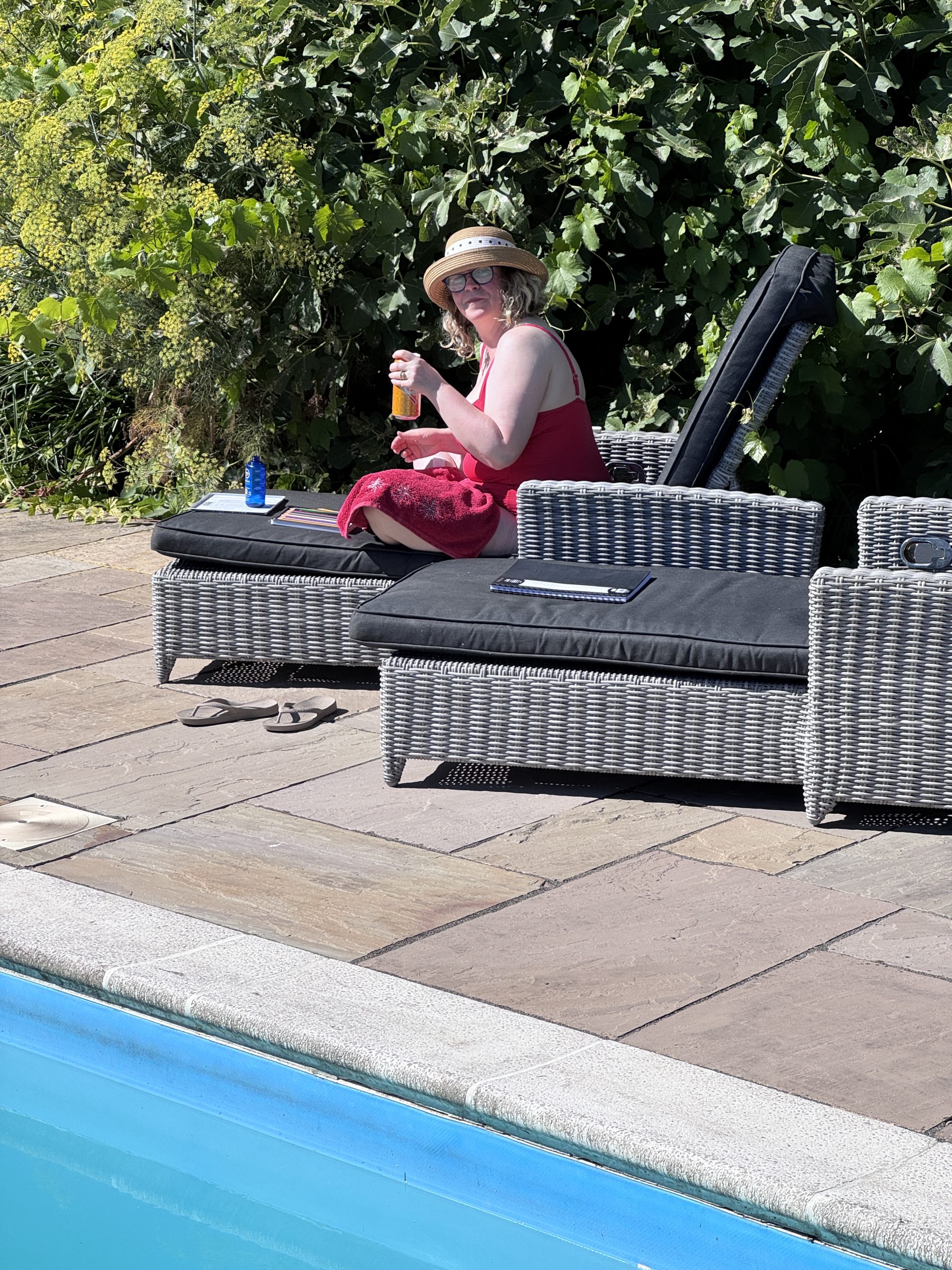 South,Sun,Pool, Cats, Dogs